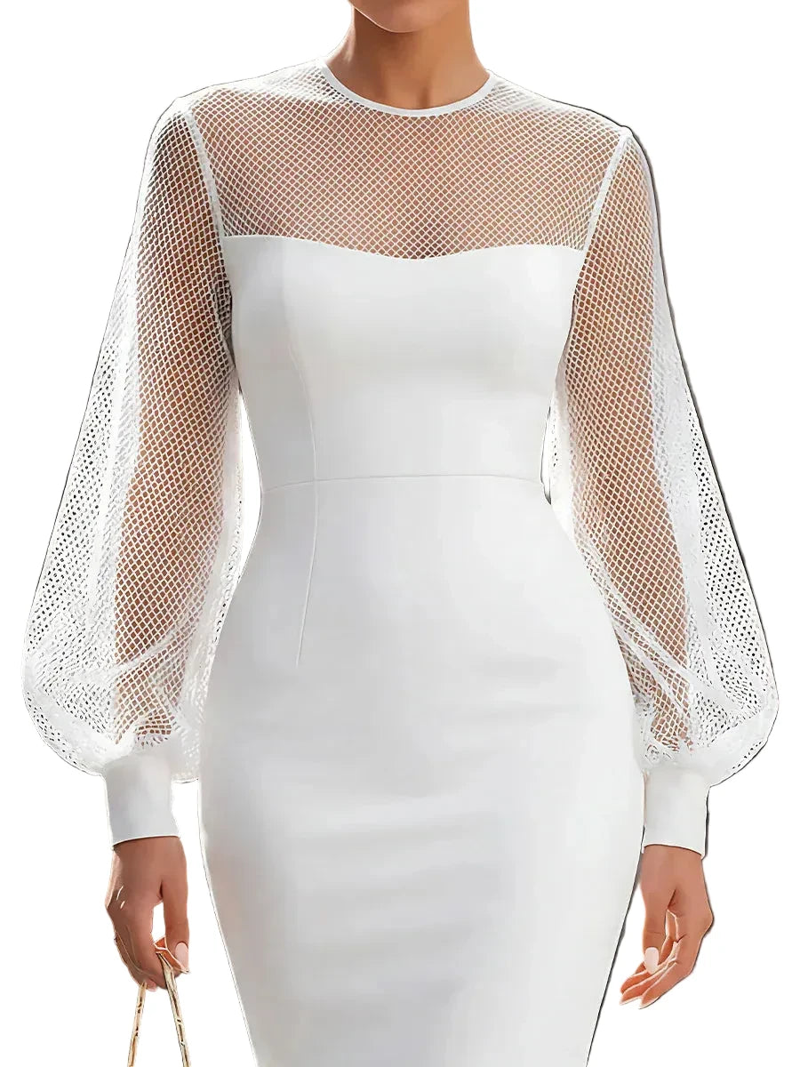 Elegant Mesh Sleeve Midi Dress